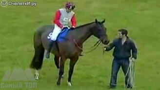 Люди против лошадей - смотреть видео (5:50)