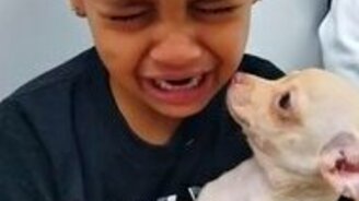 Щенок успокаивает мальчика - смотреть видео (0:39)