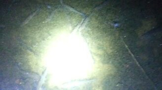 Нашли на реке рыбное место - смотреть видео (0:47)