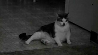 Со мною что-то происходит - смотреть видео (1:09)