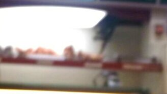 Енот - проказник и воришка - смотреть видео (0:31)