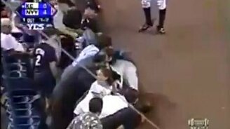 Хотел поймать мяч - смотреть видео (0:39)