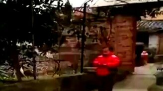 Мальчик взрывает петарду - смотреть видео (0:06)