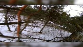 Белка утащила камеру - смотреть видео (1:06)