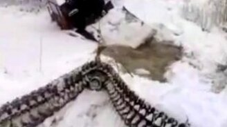 Утопил трактор окончательно - смотреть видео (1:03)