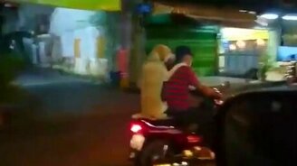 Тайский пёс с зонтиком в зубах - смотреть видео (0:25)