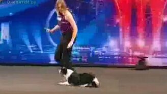 Умнейший пёс - смотреть видео (2:54)