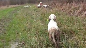 Команда - застыть! - смотреть видео (1:17)