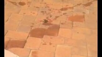 Разыграла подругу - смотреть видео (0:13)