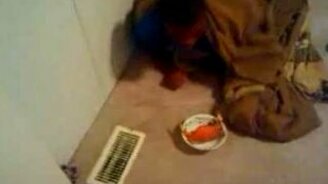 Краб в тарелке - смотреть видео (0:50)