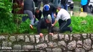 Люди спасают зверушек - смотреть видео (9:54)