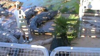 Повелитель крокодилов - смотреть видео (3:11)