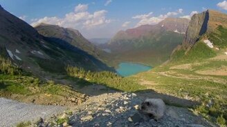 Сурок пробует камеру на вкус - смотреть видео (0:48)