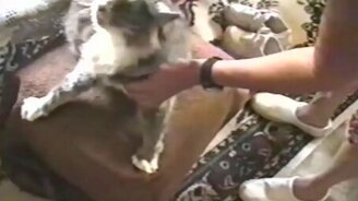 Нейрофанк-котяра - смотреть видео (0:13)