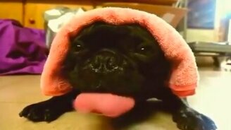 Когда очень жарко - смотреть видео (0:30)