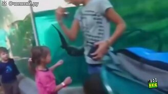 Дети и животные за стеклом - смотреть видео (5:19)