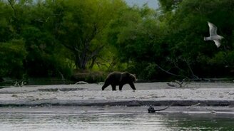 Красивые пейзажи Камчатки - смотреть видео (3:46)