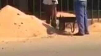 Самые эффективные работники - смотреть видео (0:43)