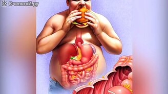 Зачем нам кишечник? - смотреть видео (2:02)