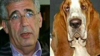 Забавные сходства - смотреть видео (6:14)