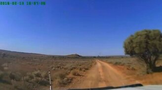 Быстрый кенгуру - смотреть видео (0:30)