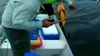 Нырнул за добычей - смотреть видео (0:39)