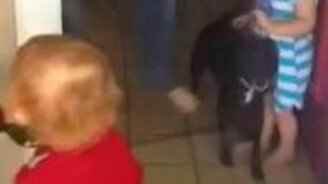 Ошибся адресатом? - смотреть видео (0:22)