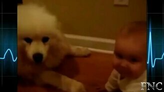 Детишки хохочут - смотреть видео (11:29)