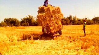 Преждевременная разгрузка сена - смотреть видео (0:15)