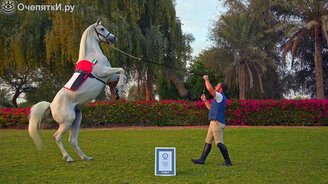 Самая длительная ходьба коня на задних ногах - смотреть видео (1:38)