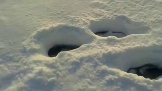 Загадочный ледяной шар в снежном домике - смотреть видео (1:04)