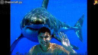 Фотоприколы: за секунду до - смотреть видео (3:24)