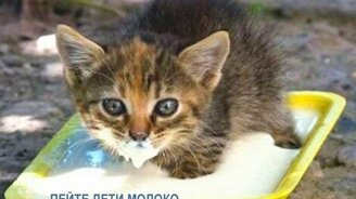 Фотозабавности с надписями - смотреть видео (1:40)