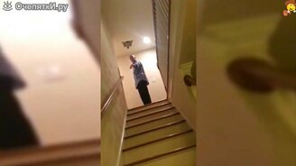 Трюки от белки-летяги - смотреть видео (0:45)