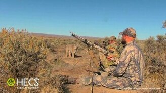 Рысь против охотников - смотреть видео (1:41)