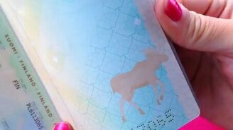 Лось в паспорте - смотреть видео (0:03)