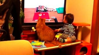 Невозможно взгляд оторвать! - смотреть видео (0:27)