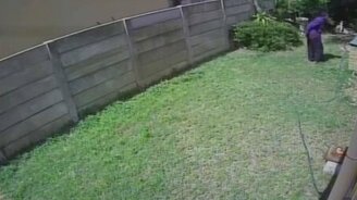 Вор против собаки-охранника - смотреть видео (0:41)