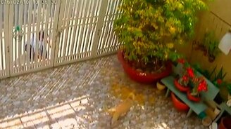 Сторожевые ворота - смотреть видео (0:50)