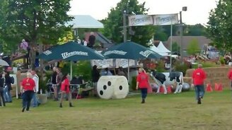 28 лошадей в упряжке - смотреть видео (4:31)