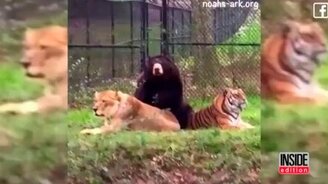 Неожиданная дружба - смотреть видео (1:12)