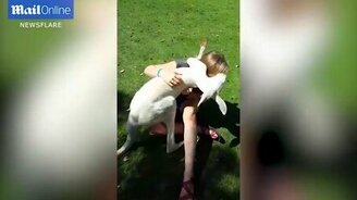 Объятия девушки и кенгуру - смотреть видео (0:40)