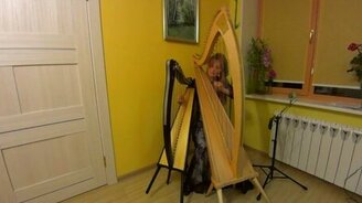 А вам слабо сыграть на двух арфах одновременно? - смотреть видео (2:30)