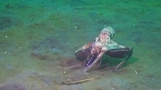 Всё своё ношу с собой - смотреть видео (0:36)