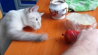 Отдай мне колбасу! - смотреть видео (1:32)