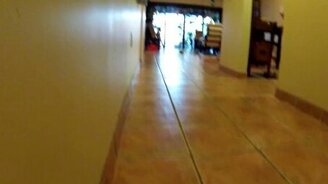 Собака-ниндзя и косточка - смотреть видео (1:15)