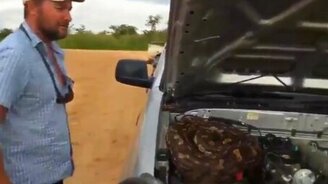 Питон под капотом - смотреть видео (1:05)