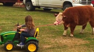 Маленькая фермерша - смотреть видео (0:31)