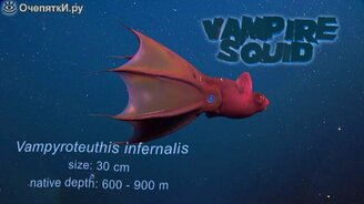 Необыкновенные существа с глубин - смотреть видео (2:30)