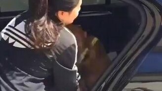 Милота на заднем сиденье авто - смотреть видео (0:15)